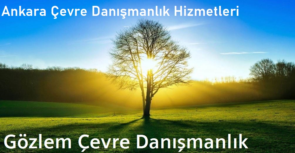 Bu görsel boş bir alt niteliğe sahip; dosya adı ankara-cevre-danismanlik.jpg